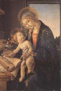 Sandro Botticelli Madonna and child or Madonna of the book oil painting reproduction